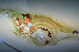 Vintage Star Wars Original Movie Prop see12 back figure kenner sideshow AFA lot