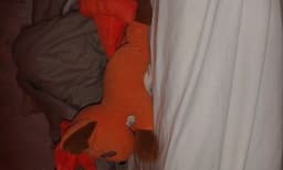 extremely rare vulpix Tomy pokemon plush