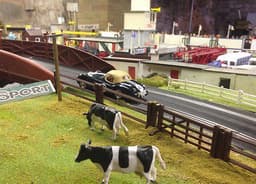 Ninco Jaguar XK120 Alpine Rally slot car. Fantastic