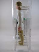 Rare Vintage Kenner Star Wars Luke Skywalker Olive Hair / Light Pants AFA 80 NM!