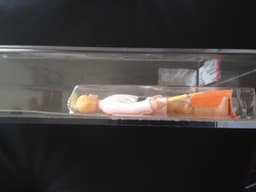 Vintage Star Wars 12 back Kenner Luke MOC sealed carded AFA not UKG