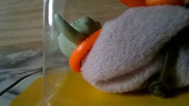 Star Wars Vintage Empire Strikes Back 1980 Yoda 32 Back Kenner Sealed On Card