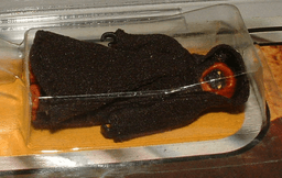 Star Wars Jawa Action Figure by Kenner