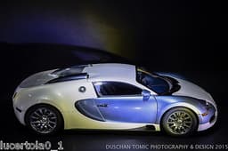 BUGATTI VEYRON AUTOART SCALE 1:12 IN BOX WITH PAPERS - RARE AND EXCLUSIVE! WOW!