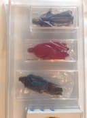 Star Wars Figure Toy MOC 1983 Kenner Rotj Bk Afa / Ukg 85 3 Pack Mail Away 71740