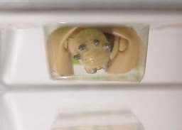 Sand People - AFA 70 - 20 Back A - 1978 Kenner - Star Wars vintage