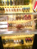 CHEWBACCA AFA 80 85 90 ROTJ 77 BACK ENDOR PHOTO 1983 KENNER STAR WARS VINTAGE